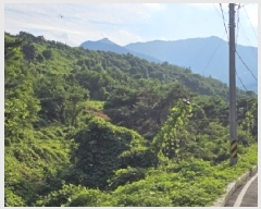  2025Ÿ��776 �泲 ��û�� ��û�� ��ź�� ��9-8      ����(�Ӿ�)���