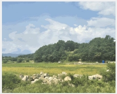  2025Ÿ��878 �泲 ��õ�� ������ ���丮 119-44      ����(��)���