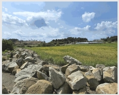  2025Ÿ��878 �泲 ��õ�� ������ ���丮 119-44      ����(��)���