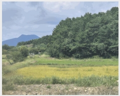  2025Ÿ��878 �泲 ��õ�� ������ ���丮 119-44      ����(��)���