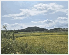  2025Ÿ��878 �泲 ��õ�� ������ ���丮 119-44      ����(��)���