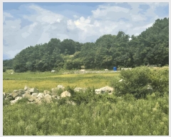  2025Ÿ��878 �泲 ��õ�� ������ ���丮 119-44      ����(��)���