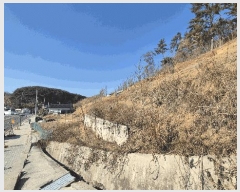  2025Ÿ��30204 �泲 ���ֽ� ������ 217-22       ����(��1)���