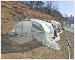  2025Ÿ��30204 �泲 ���ֽ� ������ 217-22       ����(��1)���