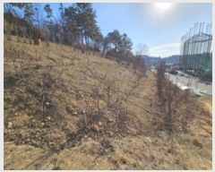  2025Ÿ��30204 �泲 ���ֽ� ������ 217-22       ����(��1)���