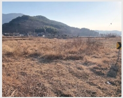  2025Ÿ��30266 �泲 �ϵ��� ������ ������ 206-2      ����(��)���