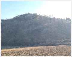  2025Ÿ��30266 �泲 �ϵ��� ������ ������ 206-2      ����(��)���