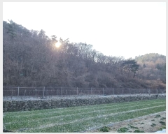  2025Ÿ��30266 �泲 �ϵ��� ������ ������ 206-2      ����(��)���