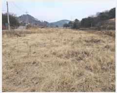  2025Ÿ��30266 �泲 �ϵ��� ������ ������ 206-2      ����(��)���