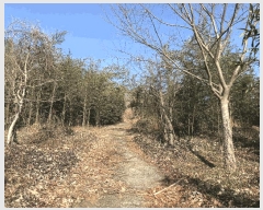  2025Ÿ��30614  �Ӿ߰��