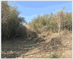  2025Ÿ��30614  �Ӿ߰��