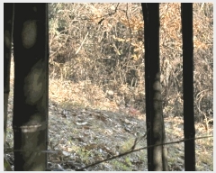  2025Ÿ��30614  �Ӿ߰��