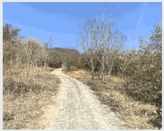  2025Ÿ��30614  �Ӿ߰��