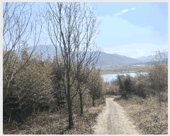  2025Ÿ��30614  �Ӿ߰��