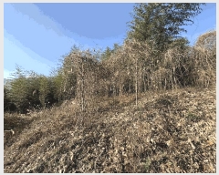  2025Ÿ��30614  �Ӿ߰��