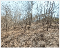  2025Ÿ��30641 �泲 ���ֽ� ����� �� ��54      ����(�Ӿ�)���