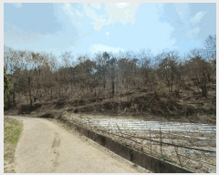  2025Ÿ��30641 �泲 ���ֽ� ����� �� ��54      ����(�Ӿ�)���