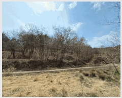  2025Ÿ��30641 �泲 ���ֽ� ����� �� ��54      ����(�Ӿ�)���