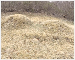  2025Ÿ��30641 �泲 ���ֽ� ����� �� ��54      ����(�Ӿ�)���