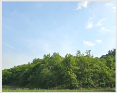  2025Ÿ��30641 �泲 ���ֽ� ����� �� ��54      ����(�Ӿ�)���