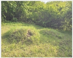  2025Ÿ��30641 �泲 ���ֽ� ����� �� ��54      ����(�Ӿ�)���