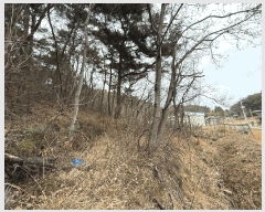  2025Ÿ��30658  ����