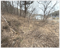  2025Ÿ��30658  ����