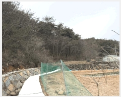  2025Ÿ��30658  ����