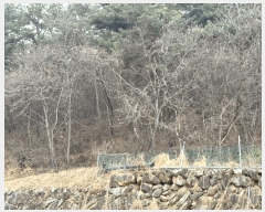  2025Ÿ��30658  ����