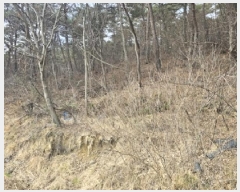  2025Ÿ��30658  ����