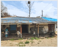  2025Ÿ��30726 �泲 �ϵ��� ������ ������ 208-4      ���ð��