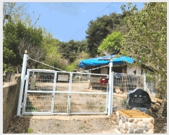  2025Ÿ��30726 �泲 �ϵ��� ������ ������ 208-4      ���ð��