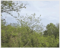  2025Ÿ��30759 �泲 ���ֽ� ������ �� ��11-10      ����(�Ӿ�)���