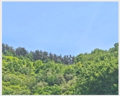  2025Ÿ��30759 �泲 ���ֽ� ������ �� ��11-10      ����(�Ӿ�)���