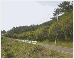  2025Ÿ��30816 �泲 ���ر� ���� ���帮 ��139-4      ����(�Ӿ�)���