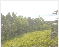  2025Ÿ��30816 �泲 ���ر� ���� ���帮 ��139-4      ����(�Ӿ�)���