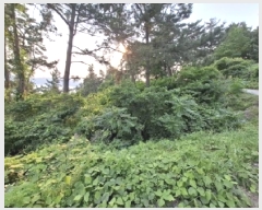  2025Ÿ��30816 �泲 ���ر� ���� ���帮 ��139-4      ����(�Ӿ�)���