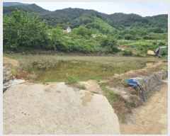  2025Ÿ��30828  ����