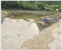  2025Ÿ��30828  ����