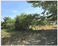  2025Ÿ��30982 �泲 ��õ�� ������ ���丮 5-243      ����(��1)���
