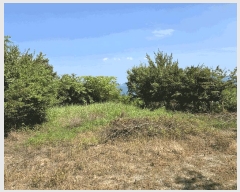  2025Ÿ��30982 �泲 ��õ�� ������ ���丮 5-243      ����(��1)���