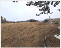  2025Ÿ��203 �泲 ��õ�� ������ ���丮 ��42-1      ����(�Ӿ�)���