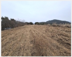  2025Ÿ��203 �泲 ��õ�� ������ ���丮 ��42-1      ����(�Ӿ�)���