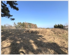  2025Ÿ��203 �泲 ��õ�� ������ ���丮 ��42-1      ����(�Ӿ�)���