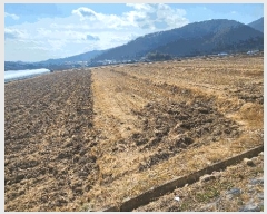  2025Ÿ��296 �泲 ���ֽ� ������ ���긮 903-14      ����(��)���