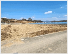  2025Ÿ��296 �泲 ���ֽ� ������ ���긮 903-14      ����(��)���