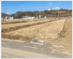  2025Ÿ��296 �泲 ���ֽ� ������ ���긮 903-14      ����(��)���