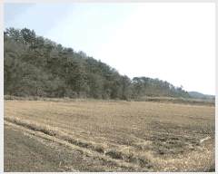  2025Ÿ449 泲 ϵ   20-18      ()