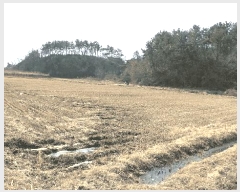  2025Ÿ449 泲 ϵ   20-18      ()