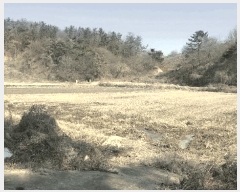  2025Ÿ449 泲 ϵ   20-18      ()